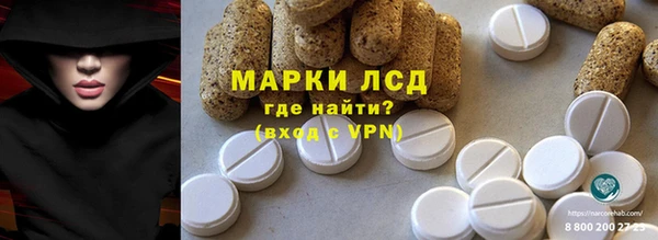 прущие грибы Кукмор