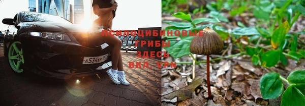 МДПВ Саяногорск