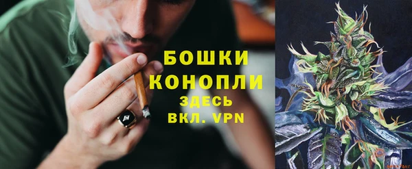 тгк Кулебаки